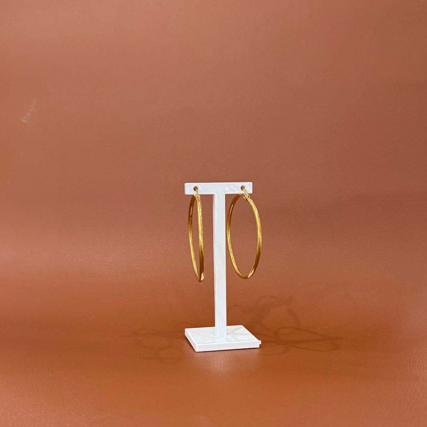 Stainless Steel Earring Hoop