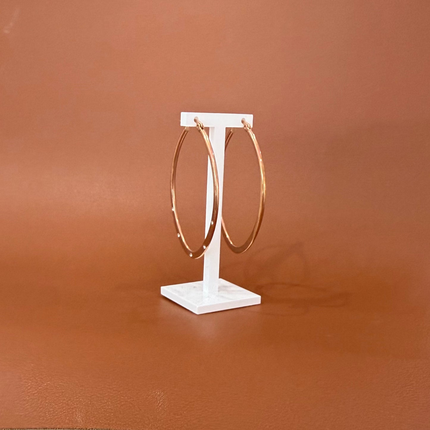 Stainless Steel Earring Hoop